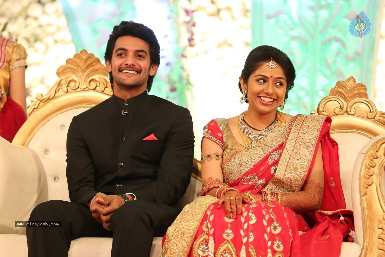 Aadi and Aruna Wedding Reception 01 - 74 / 119 photos