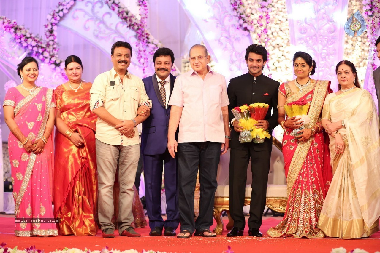 Aadi and Aruna Wedding Reception 01 - 87 / 119 photos