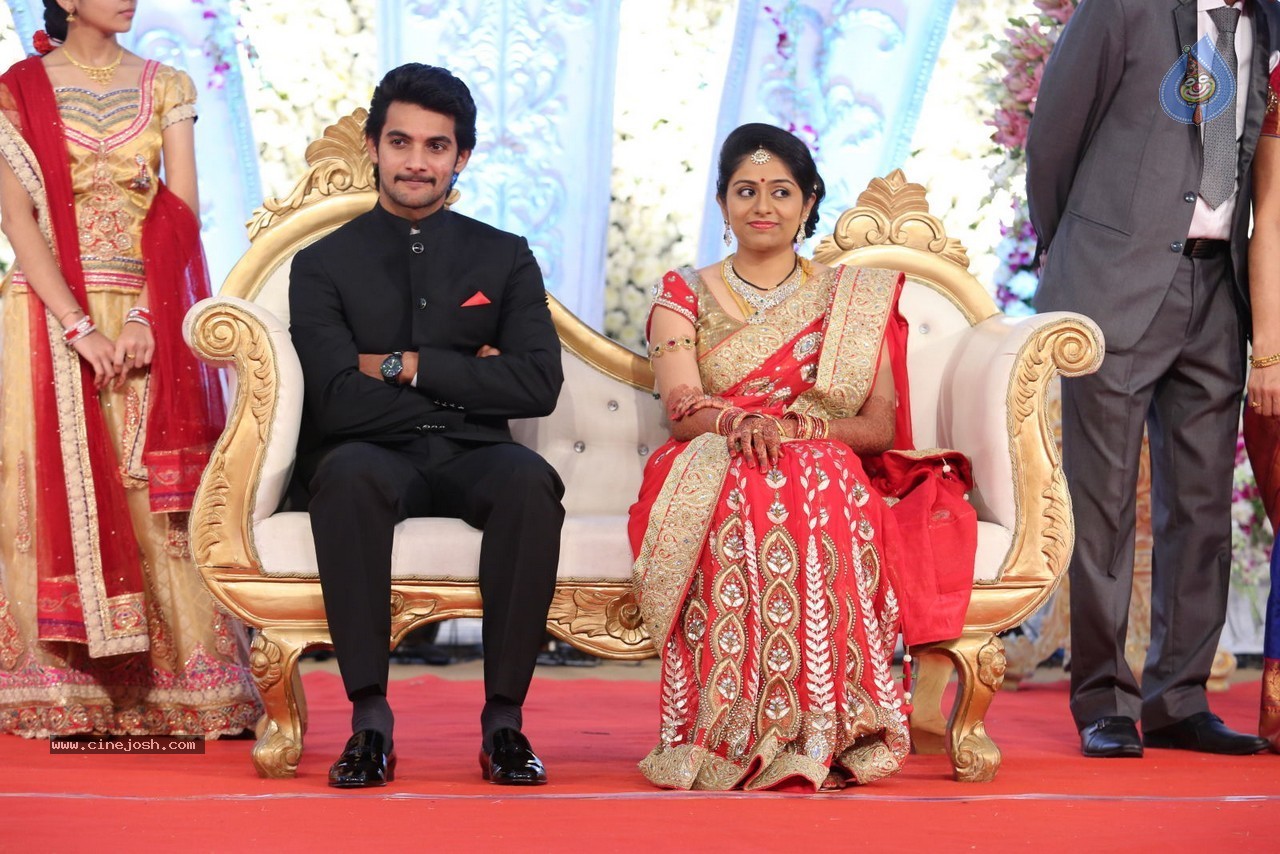 Aadi and Aruna Wedding Reception 01 - 88 / 119 photos