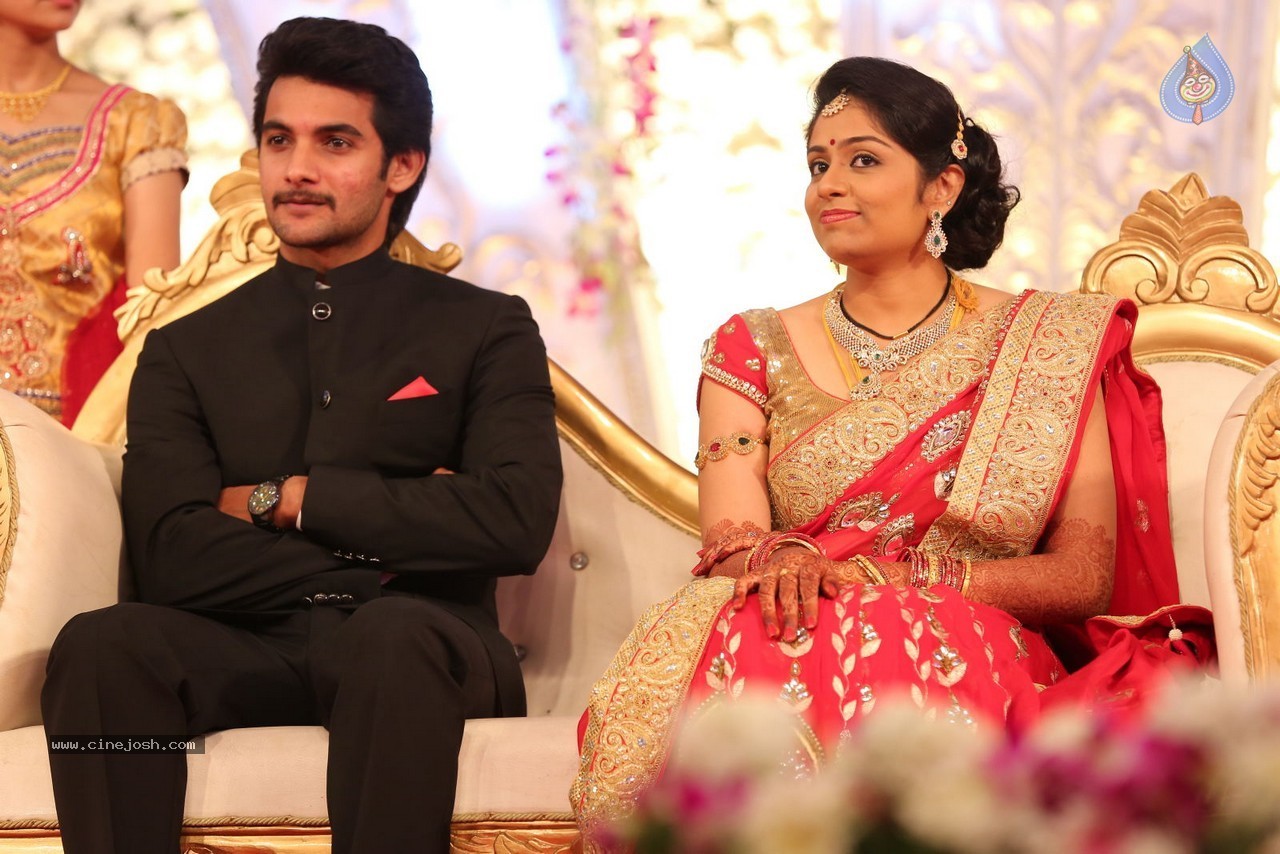 Aadi and Aruna Wedding Reception 01 - 98 / 119 photos