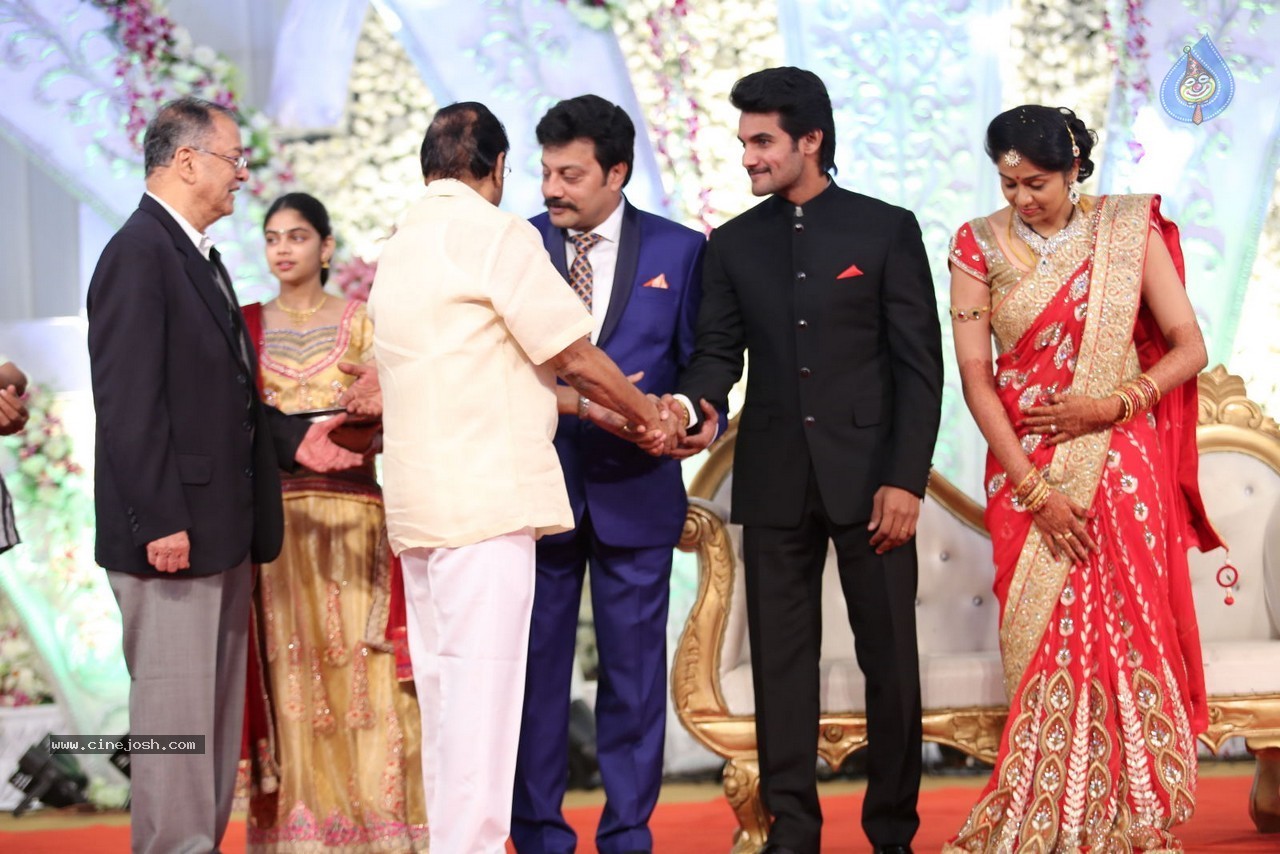 Aadi and Aruna Wedding Reception 01 - 103 / 119 photos