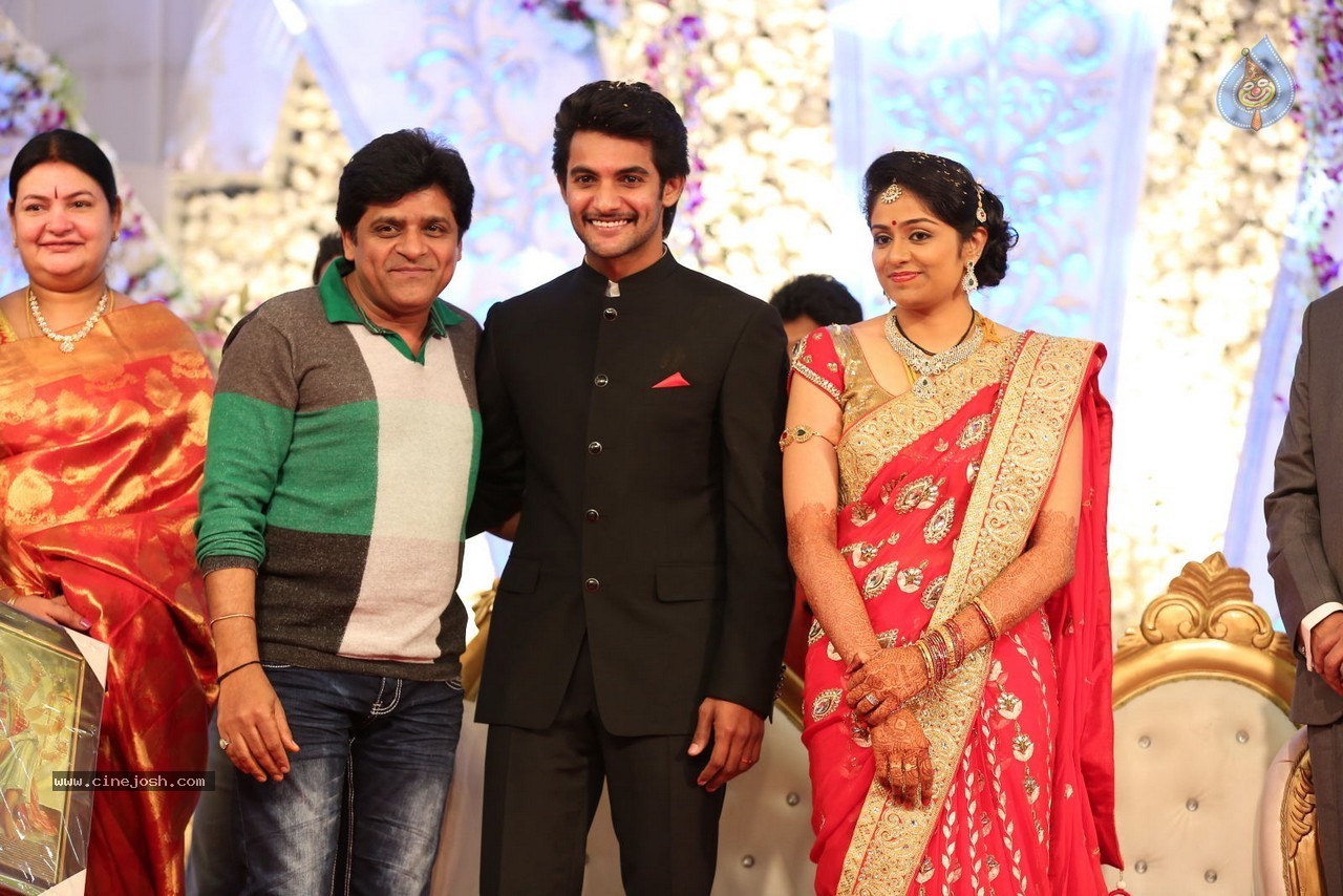 Aadi and Aruna Wedding Reception 01 - 105 / 119 photos