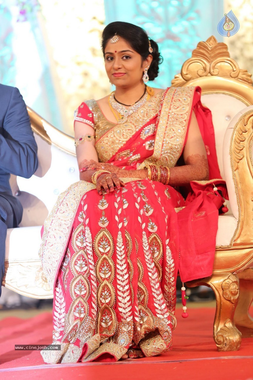 Aadi and Aruna Wedding Reception 01 - 107 / 119 photos
