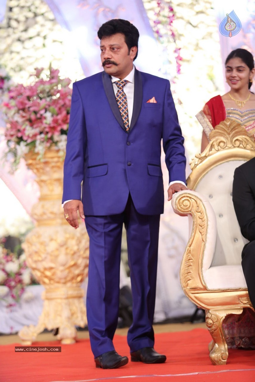 Aadi and Aruna Wedding Reception 01 - 108 / 119 photos