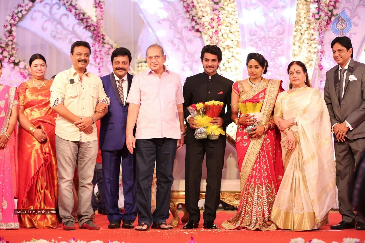 Aadi and Aruna Wedding Reception 01 - 110 / 119 photos