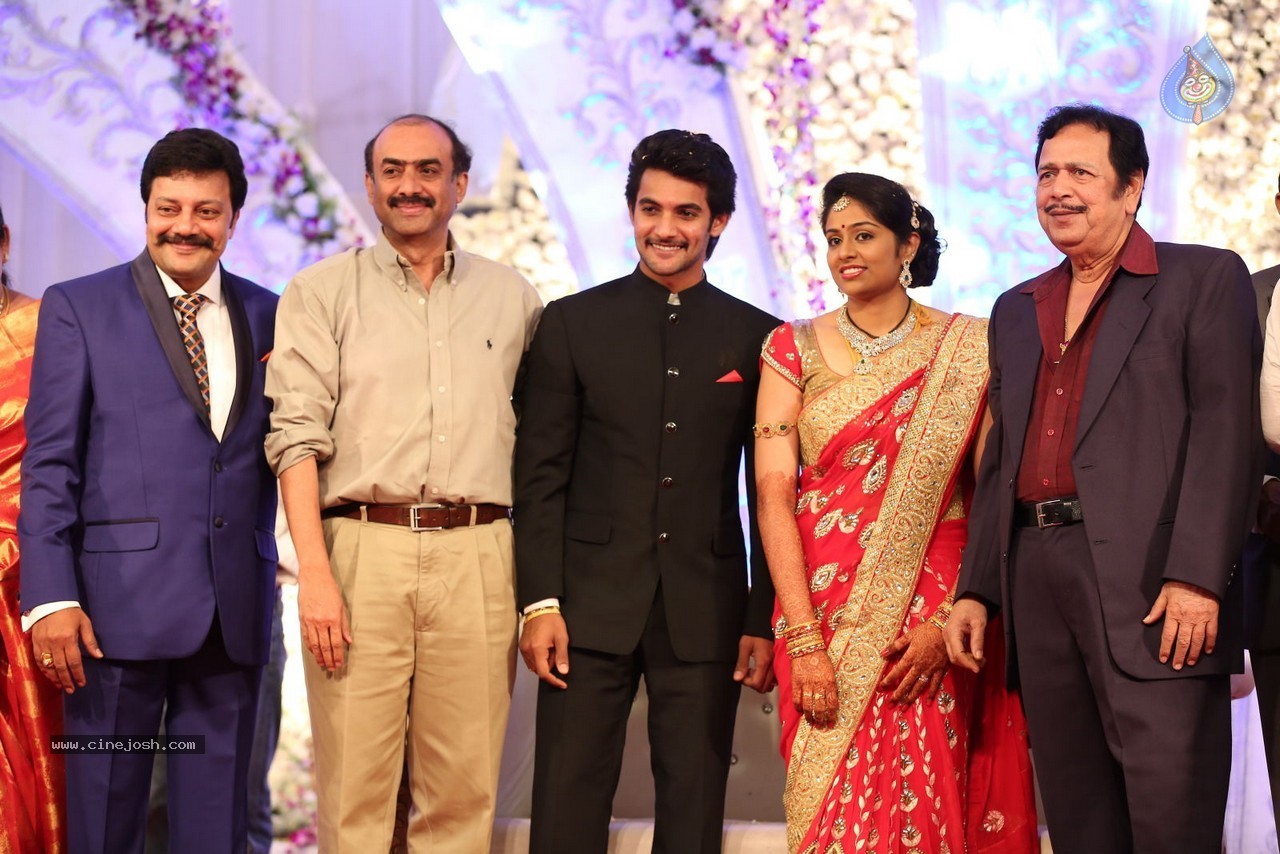 Aadi and Aruna Wedding Reception 01 - 113 / 119 photos