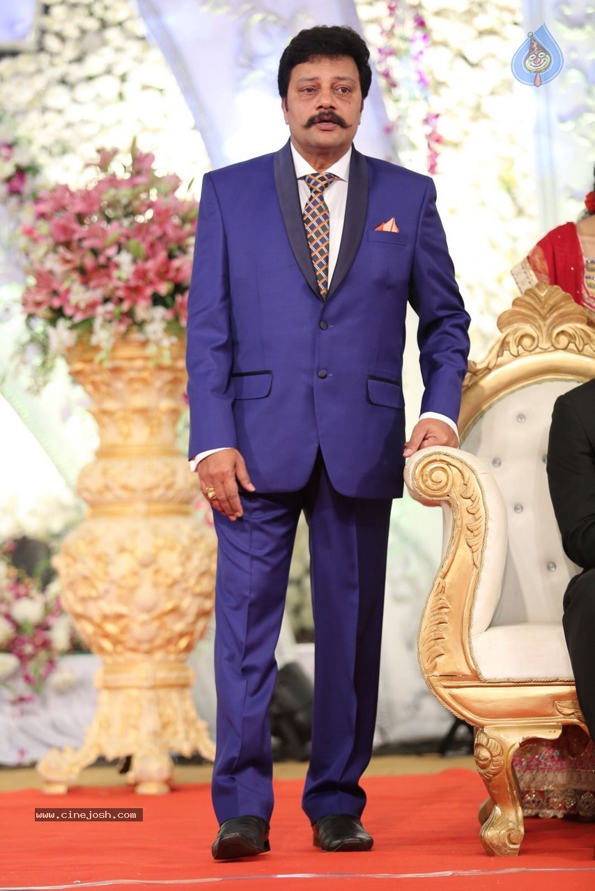 Aadi and Aruna Wedding Reception 01 - 116 / 119 photos