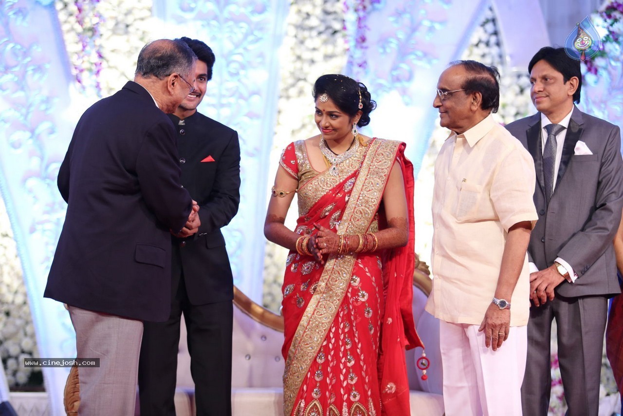 Aadi and Aruna Wedding Reception 01 - 118 / 119 photos
