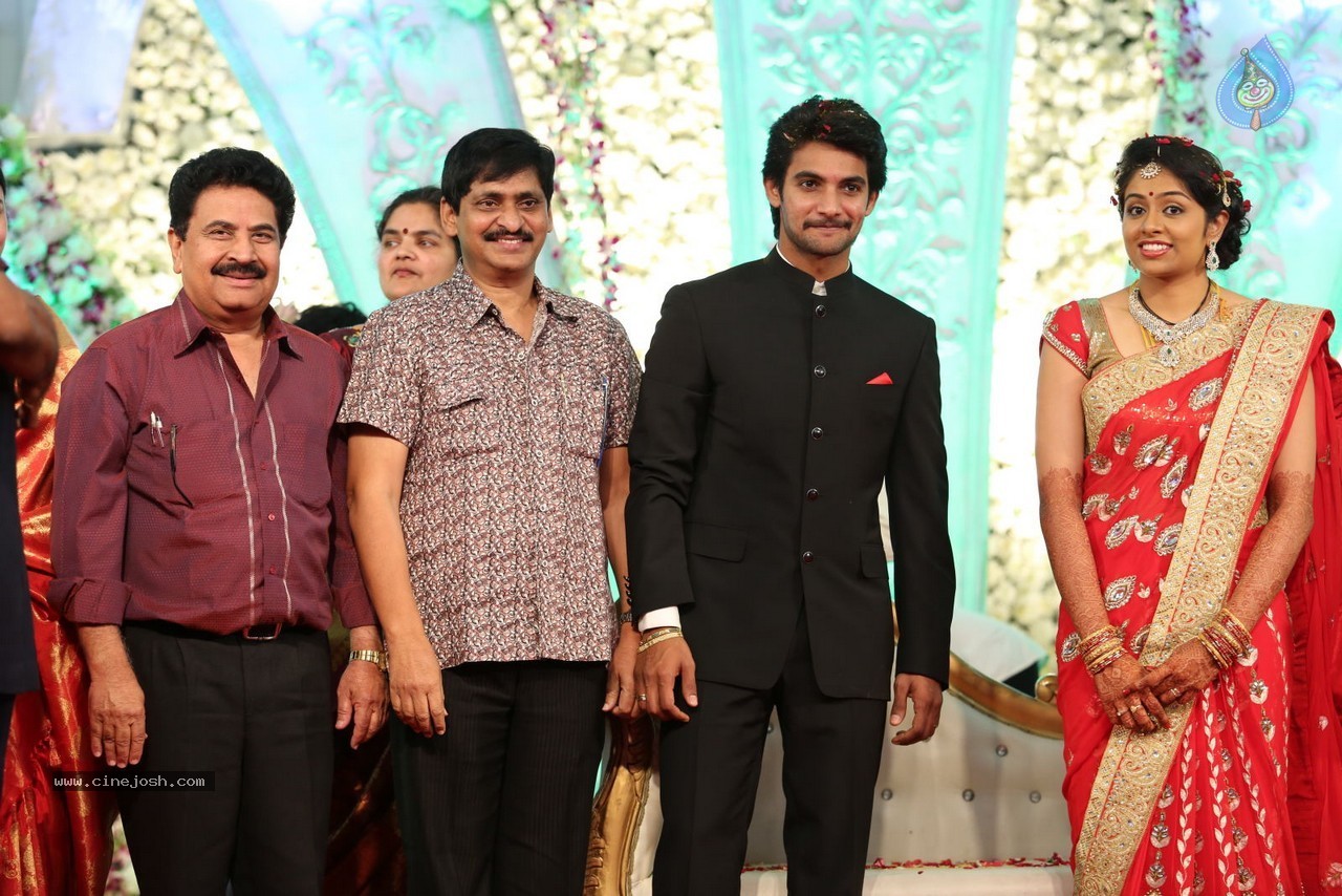 Aadi and Aruna Wedding Reception 03 - 2 / 235 photos
