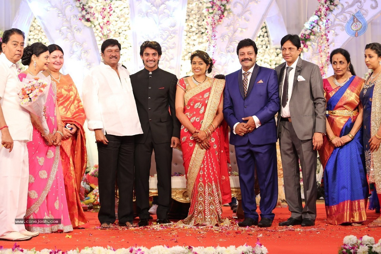Aadi and Aruna Wedding Reception 03 - 8 / 235 photos