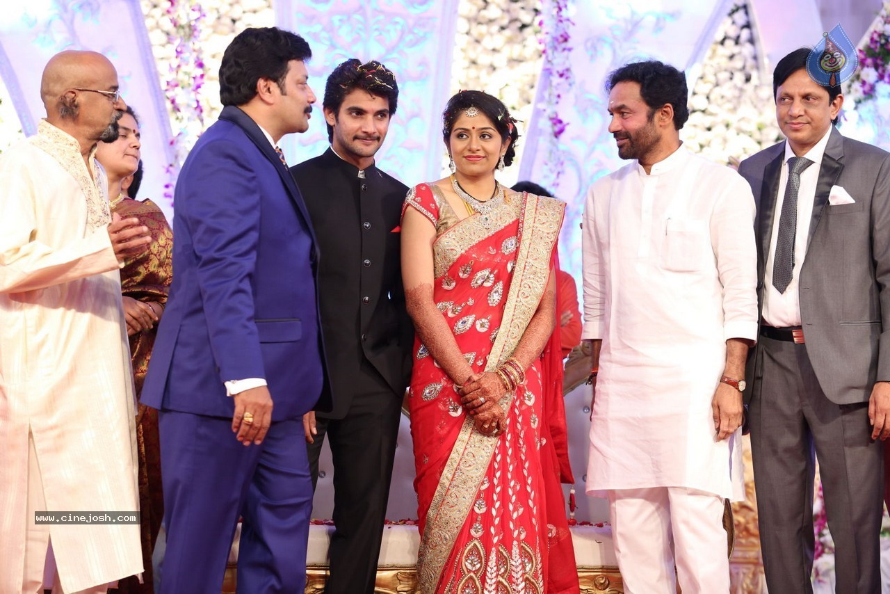 Aadi and Aruna Wedding Reception 03 - 11 / 235 photos