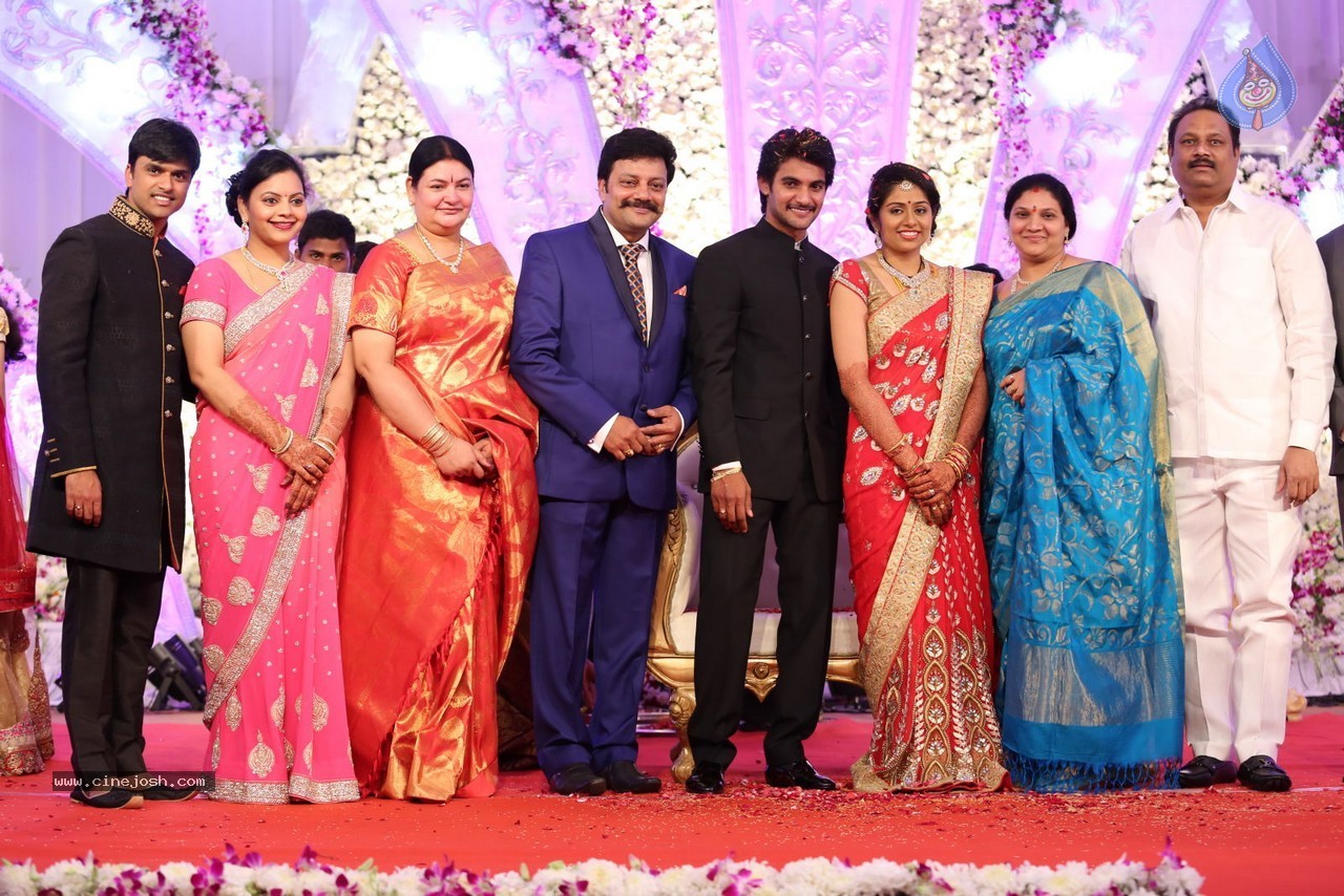 Aadi and Aruna Wedding Reception 03 - 14 / 235 photos