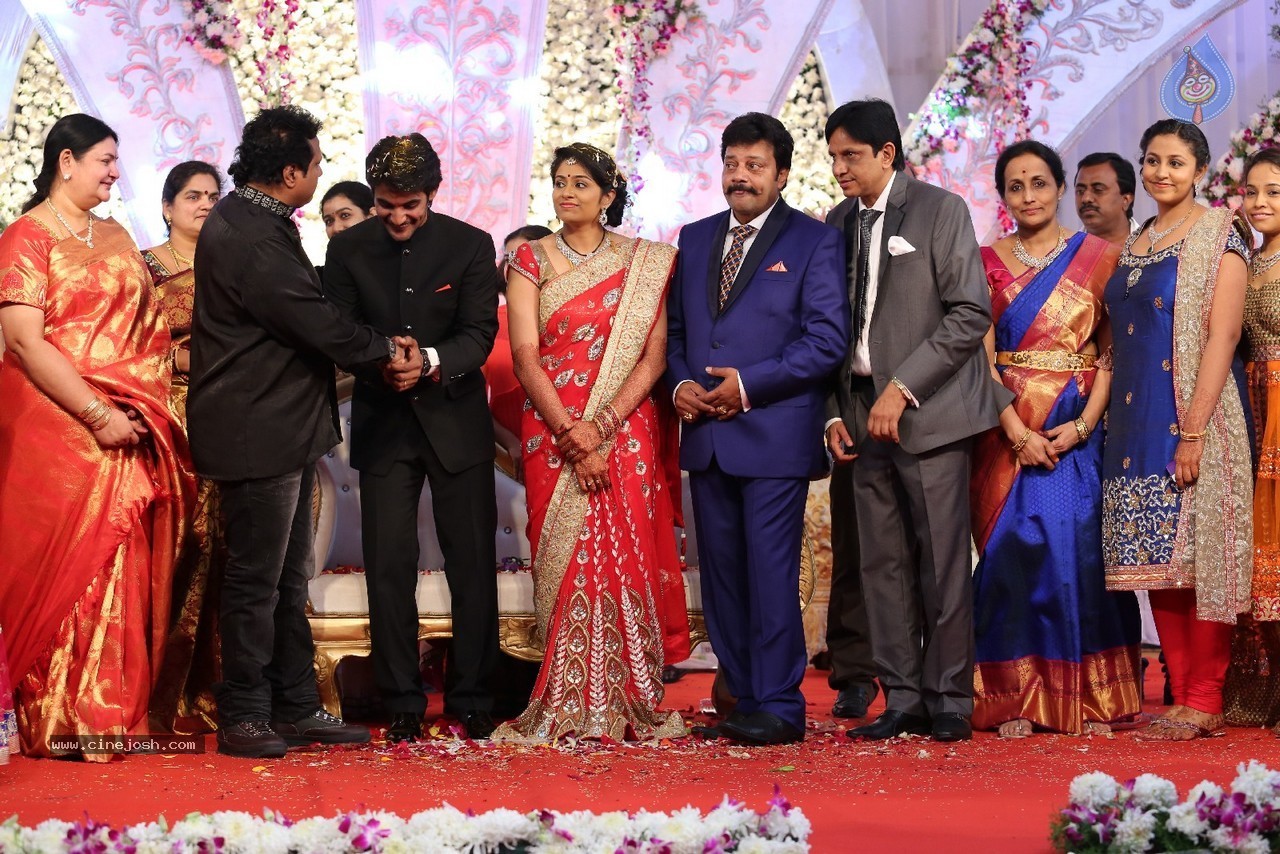 Aadi and Aruna Wedding Reception 03 - 17 / 235 photos