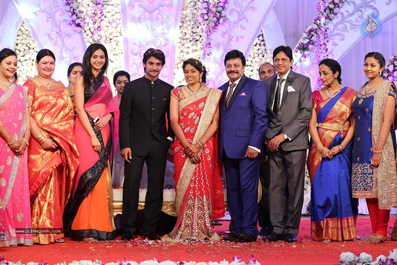 Aadi and Aruna Wedding Reception 03 - 23 / 235 photos