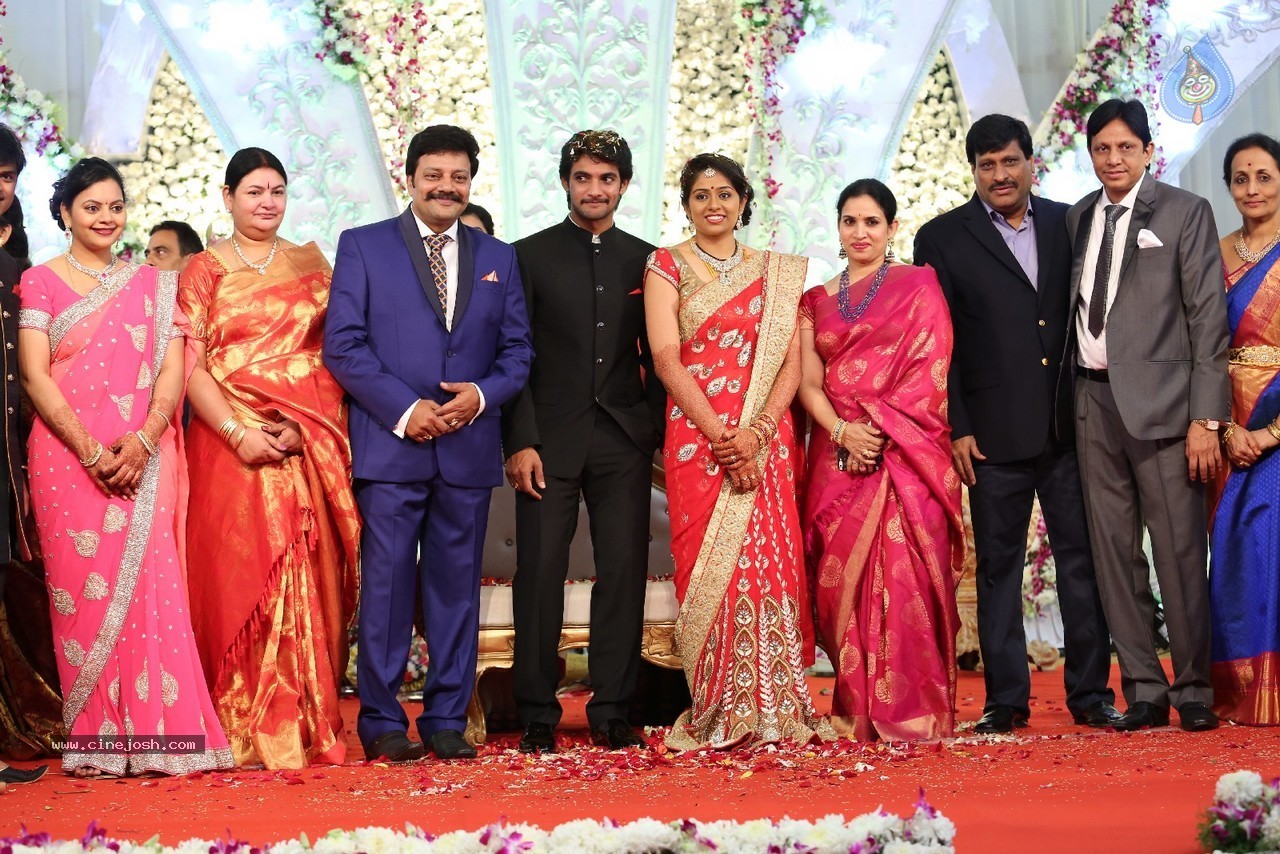Aadi and Aruna Wedding Reception 03 - 28 / 235 photos