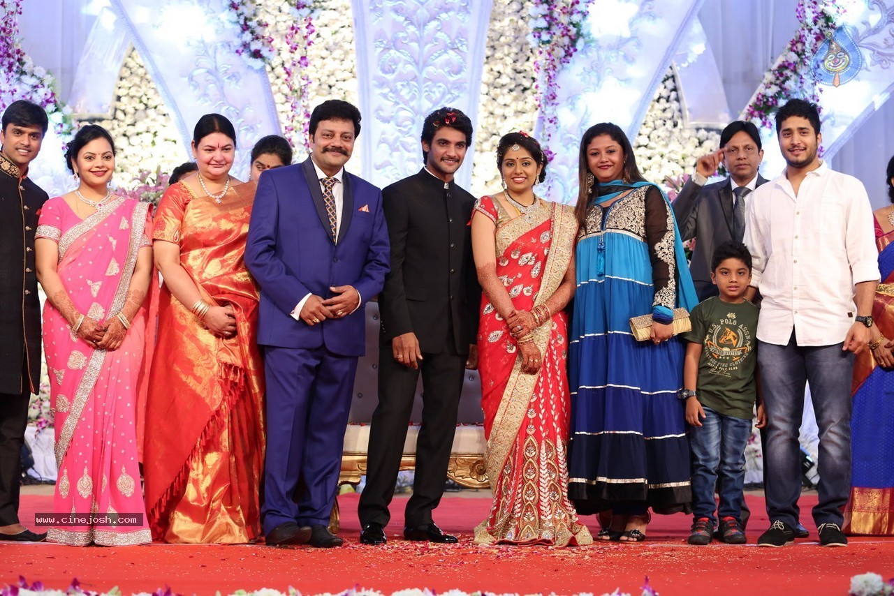 Aadi and Aruna Wedding Reception 03 - 29 / 235 photos