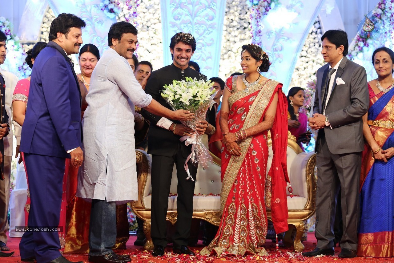 Aadi and Aruna Wedding Reception 03 - 31 / 235 photos