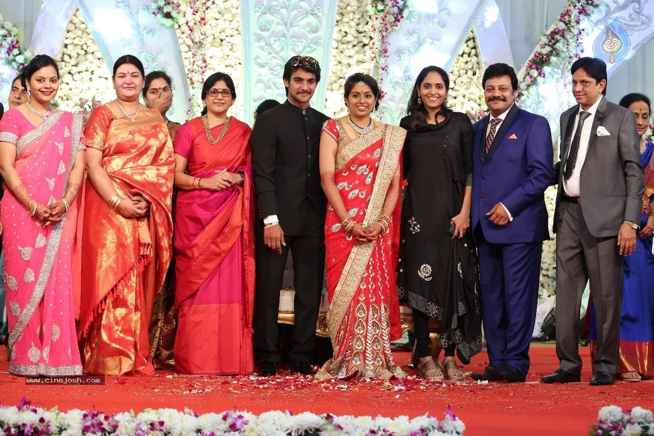 Aadi and Aruna Wedding Reception 03 - 34 / 235 photos