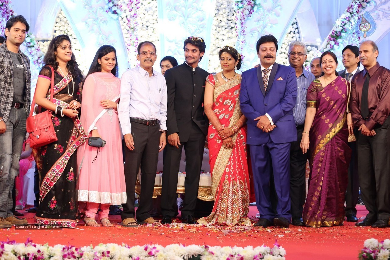 Aadi and Aruna Wedding Reception 03 - 45 / 235 photos