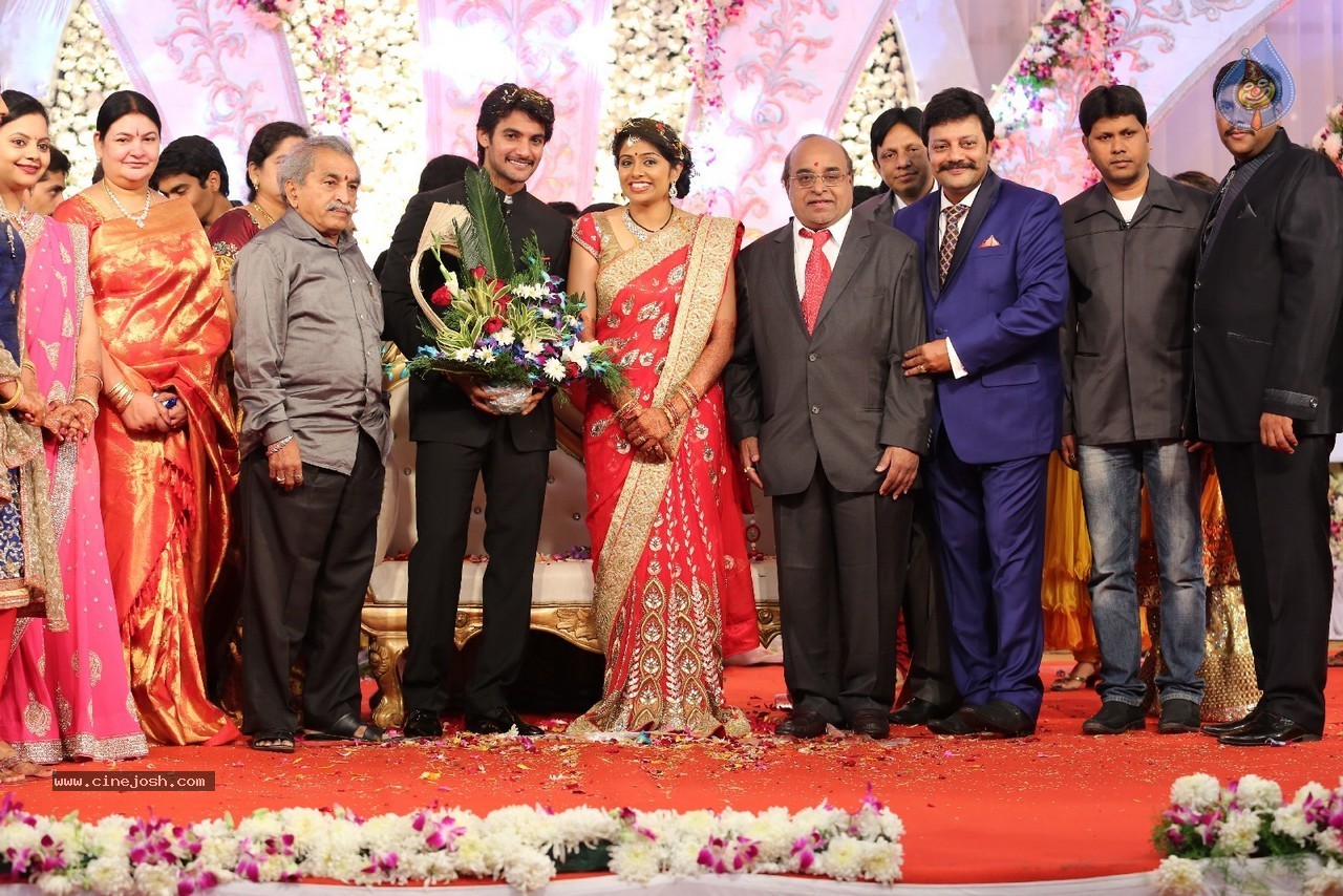 Aadi and Aruna Wedding Reception 03 - 51 / 235 photos
