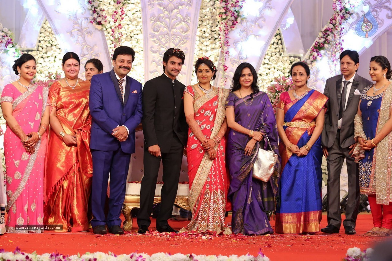 Aadi and Aruna Wedding Reception 03 - 52 / 235 photos