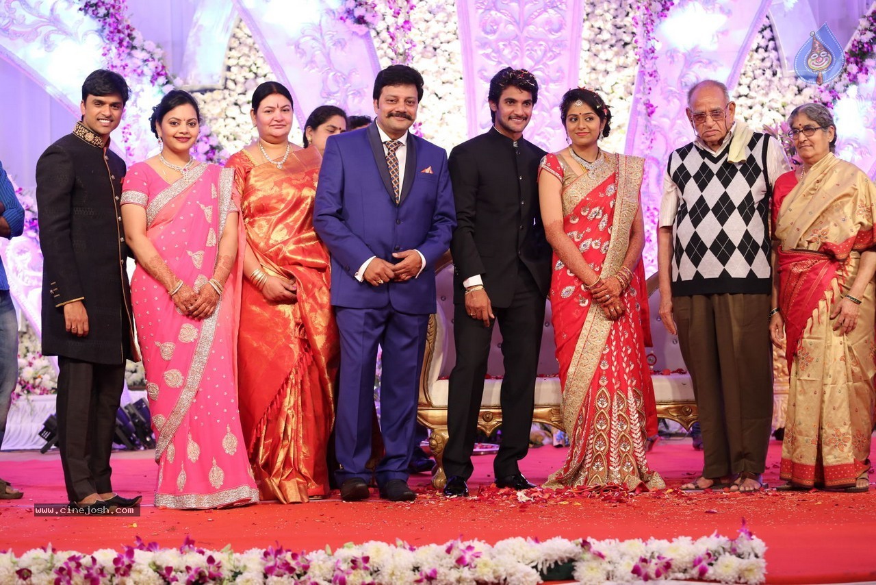 Aadi and Aruna Wedding Reception 03 - 58 / 235 photos