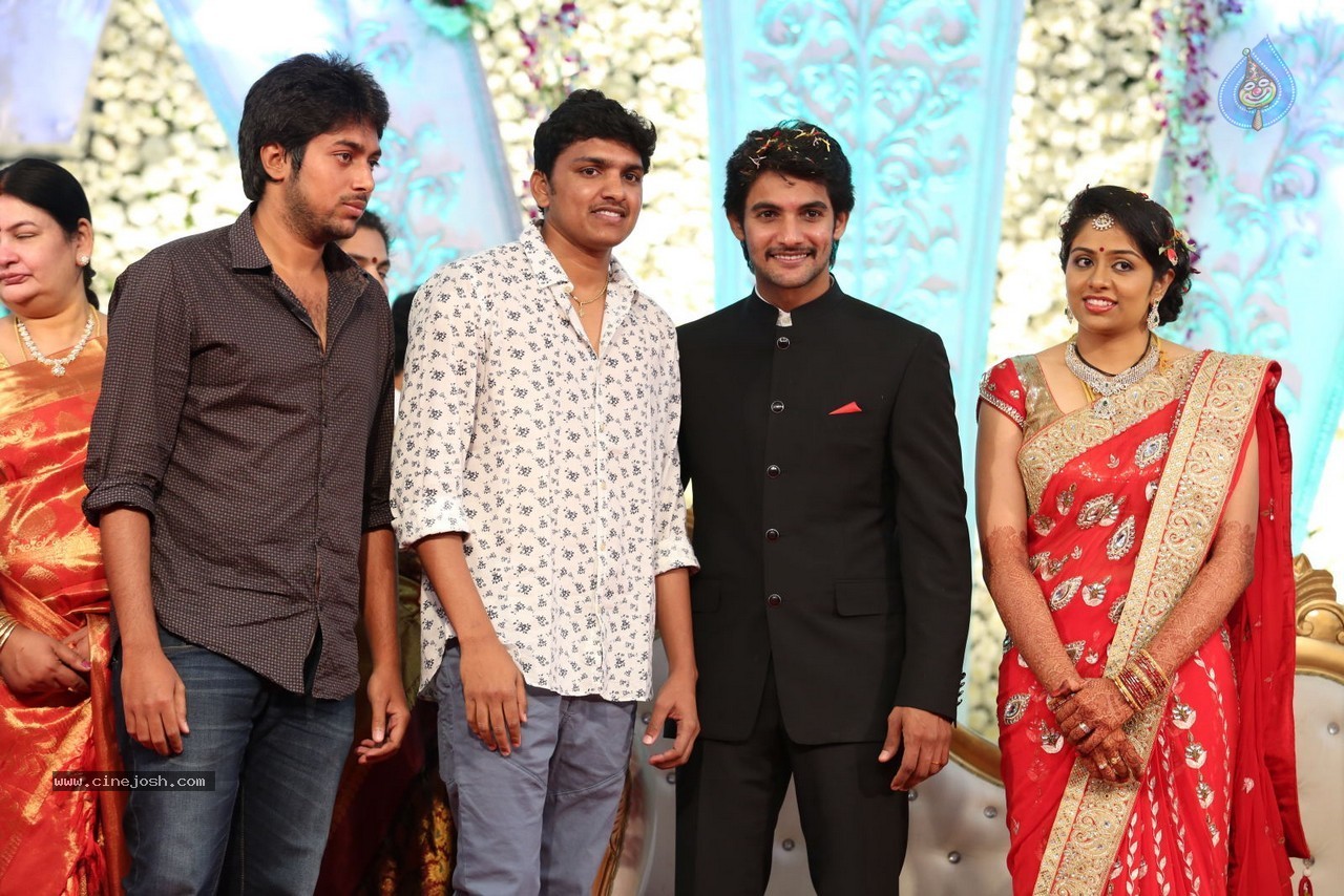 Aadi and Aruna Wedding Reception 03 - 60 / 235 photos