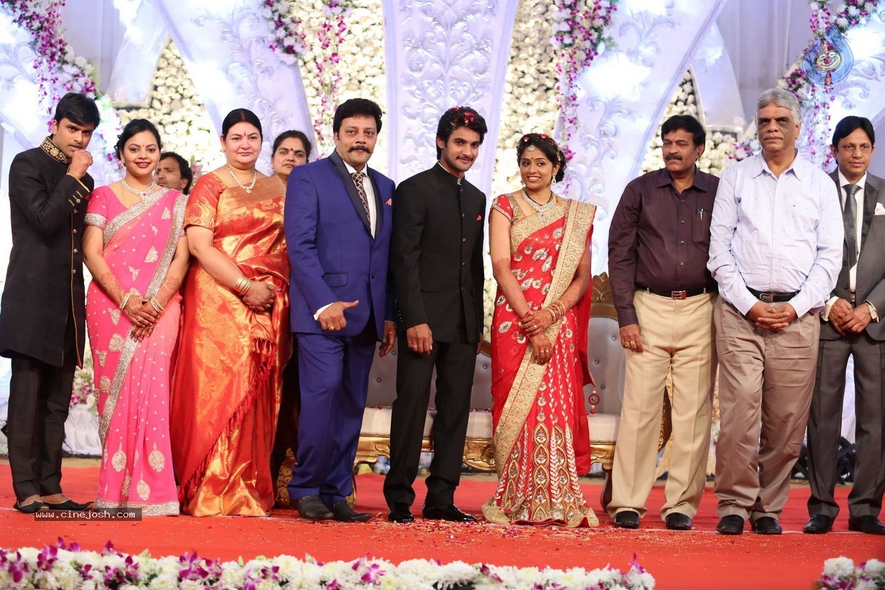 Aadi and Aruna Wedding Reception 03 - 63 / 235 photos
