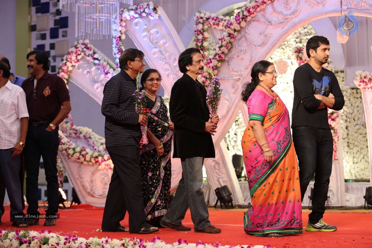 Aadi and Aruna Wedding Reception 03 - 64 / 235 photos