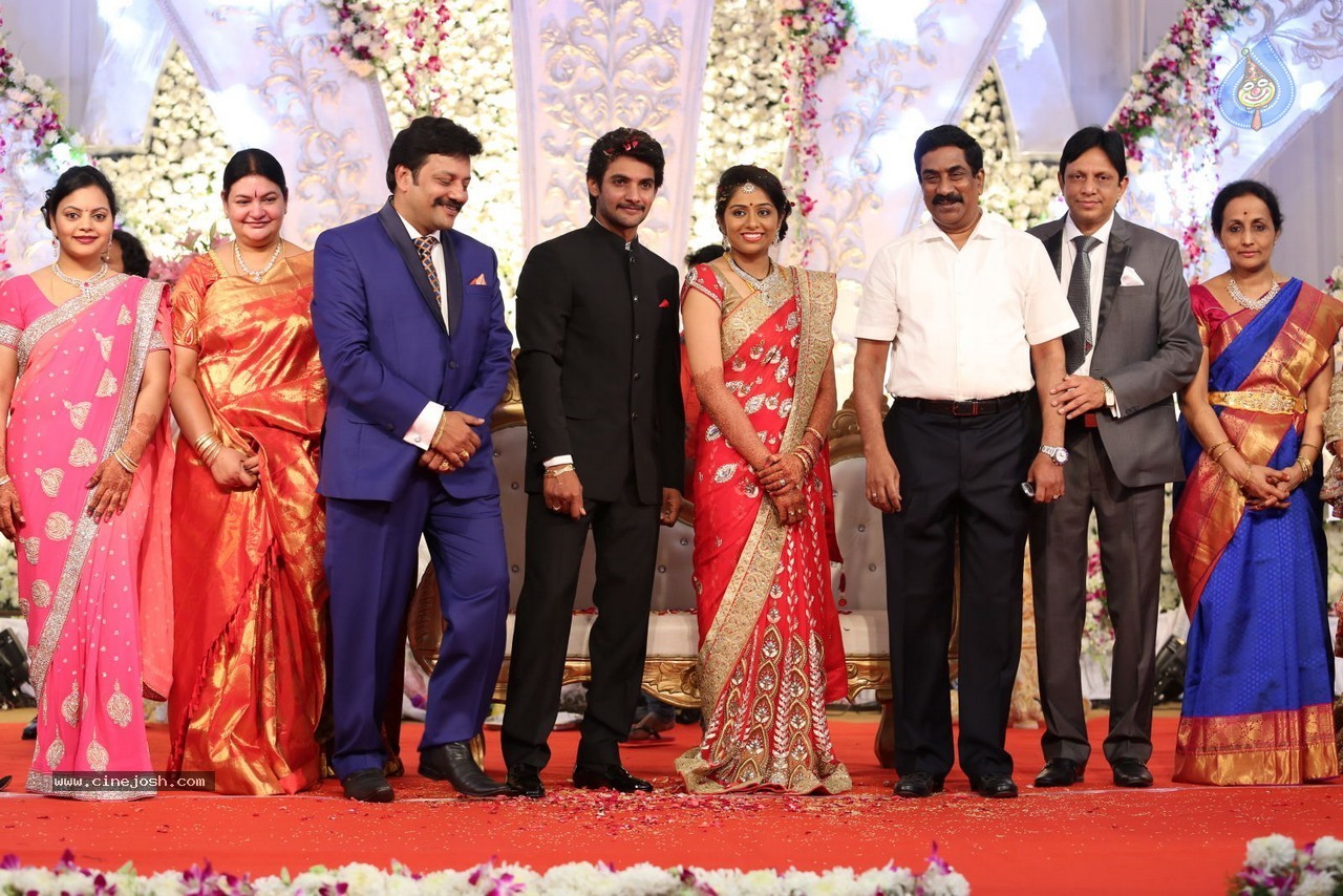 Aadi and Aruna Wedding Reception 03 - 86 / 235 photos