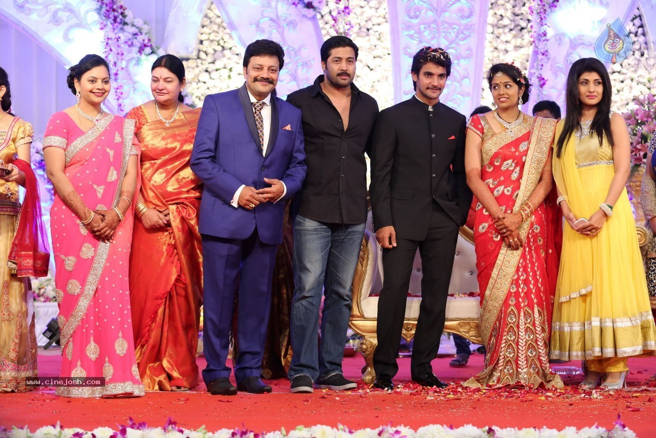 Aadi and Aruna Wedding Reception 03 - 87 / 235 photos