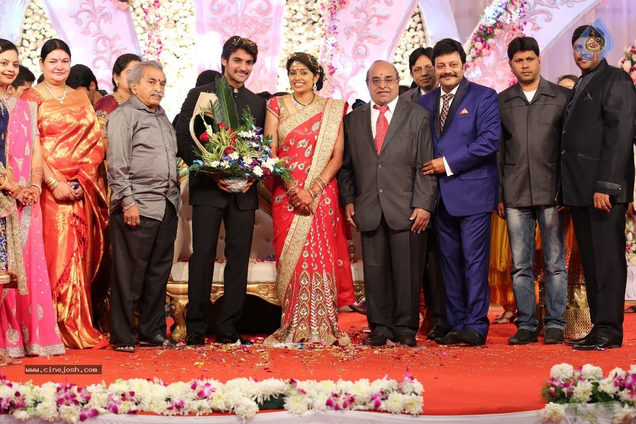 Aadi and Aruna Wedding Reception 03 - 88 / 235 photos