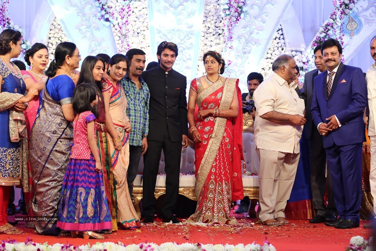 Aadi and Aruna Wedding Reception 03 - 92 / 235 photos