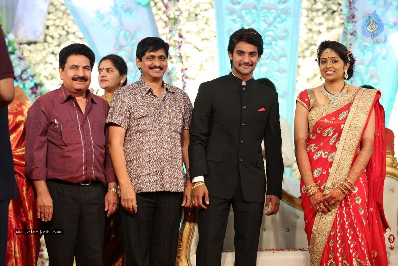 Aadi and Aruna Wedding Reception 03 - 95 / 235 photos