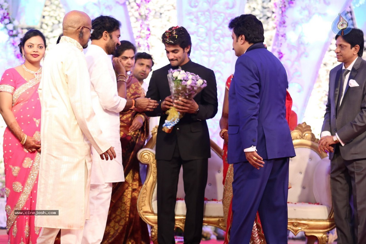 Aadi and Aruna Wedding Reception 03 - 108 / 235 photos
