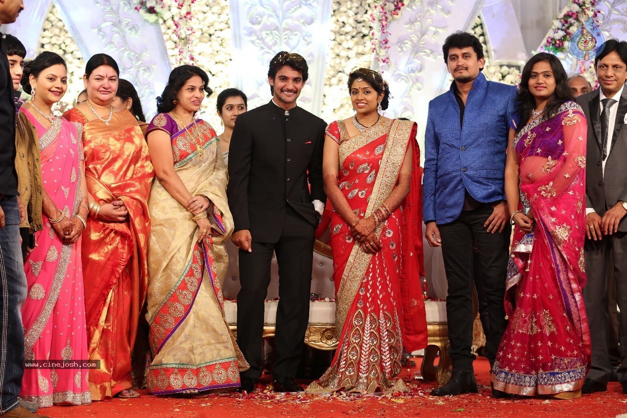 Aadi and Aruna Wedding Reception 03 - 111 / 235 photos