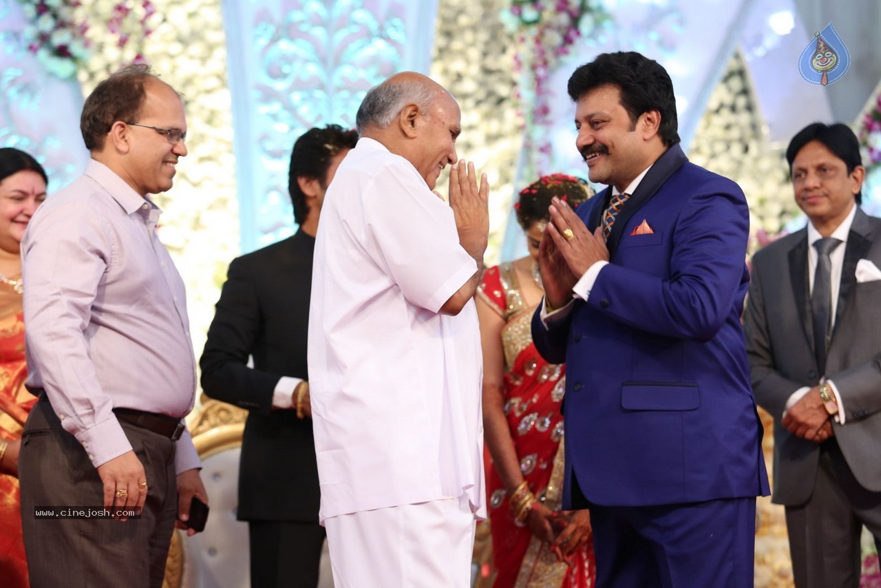 Aadi and Aruna Wedding Reception 03 - 113 / 235 photos