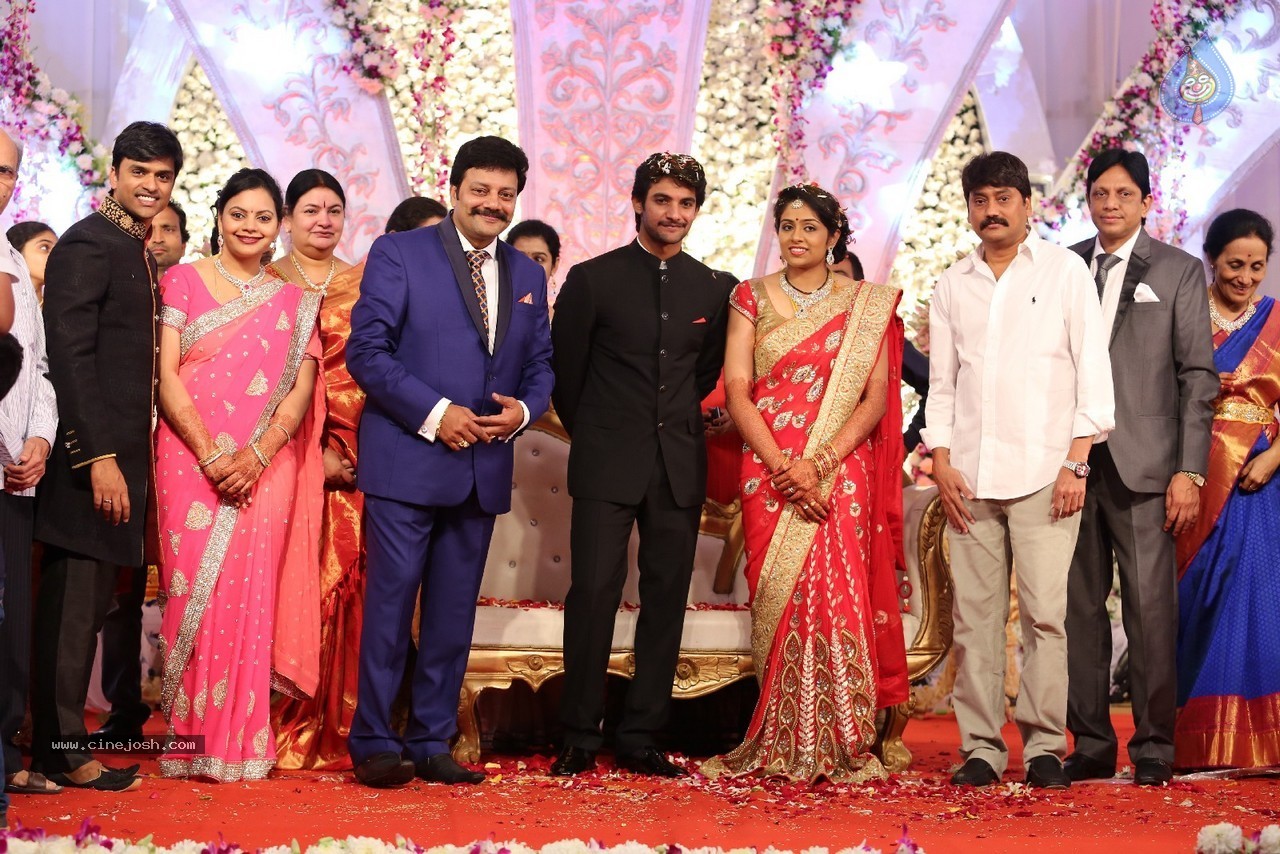 Aadi and Aruna Wedding Reception 03 - 116 / 235 photos
