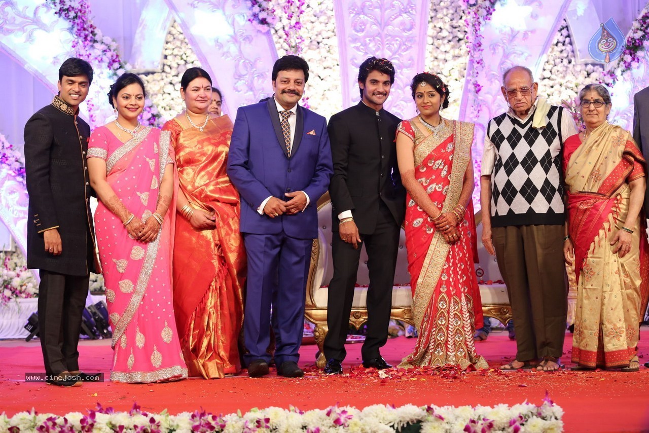 Aadi and Aruna Wedding Reception 03 - 122 / 235 photos