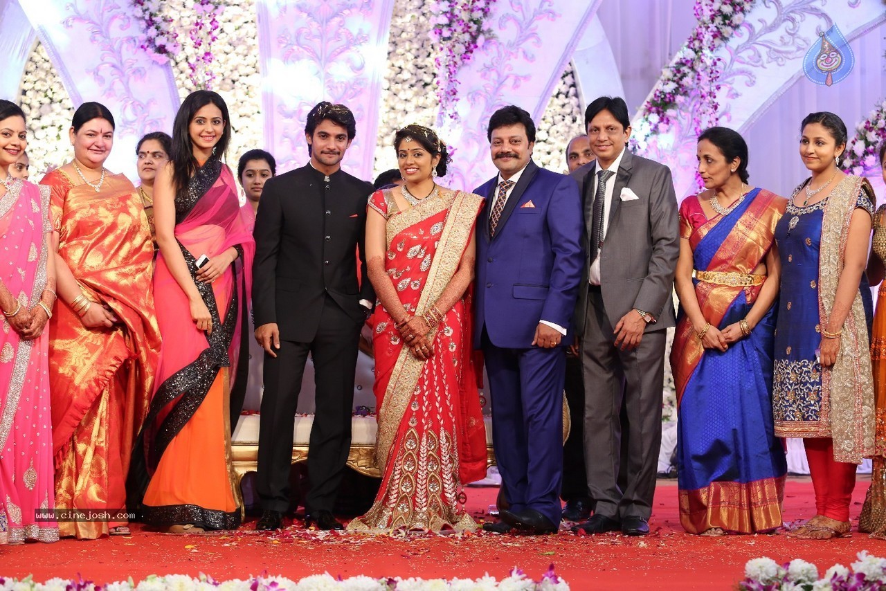 Aadi and Aruna Wedding Reception 03 - 139 / 235 photos