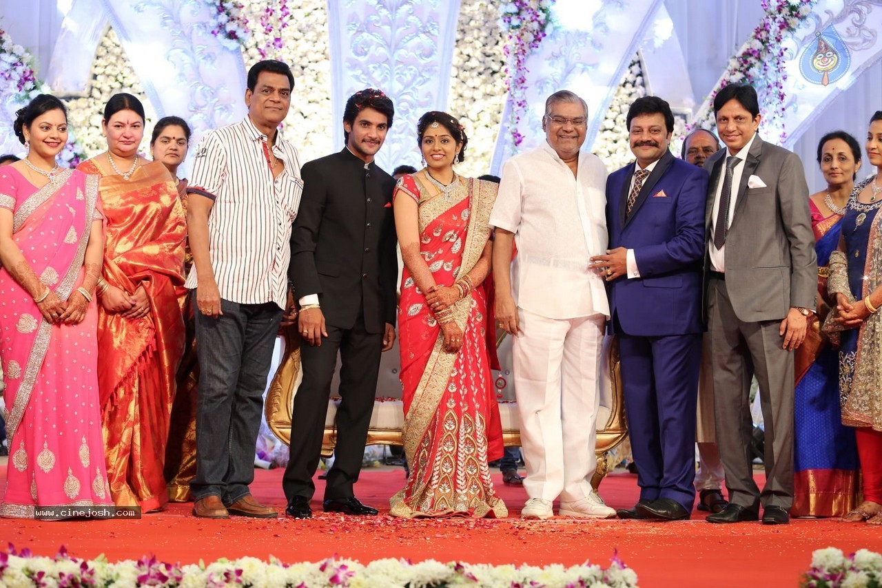 Aadi and Aruna Wedding Reception 03 - 153 / 235 photos