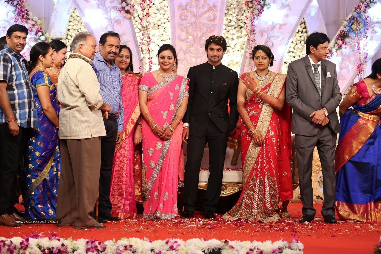 Aadi and Aruna Wedding Reception 03 - 165 / 235 photos
