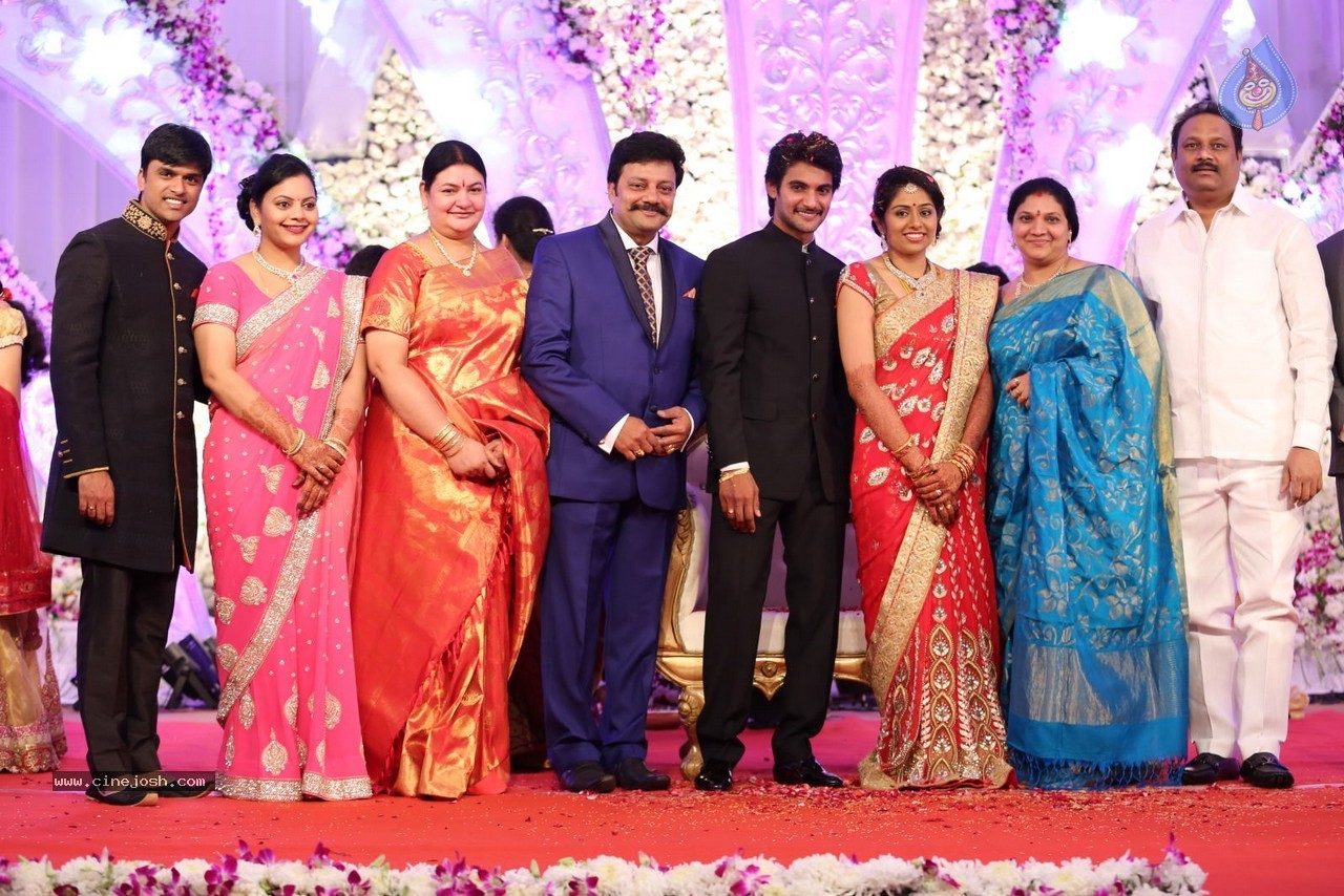 Aadi and Aruna Wedding Reception 03 - 172 / 235 photos