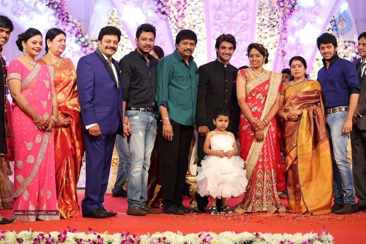 Aadi and Aruna Wedding Reception 03 - 189 / 235 photos
