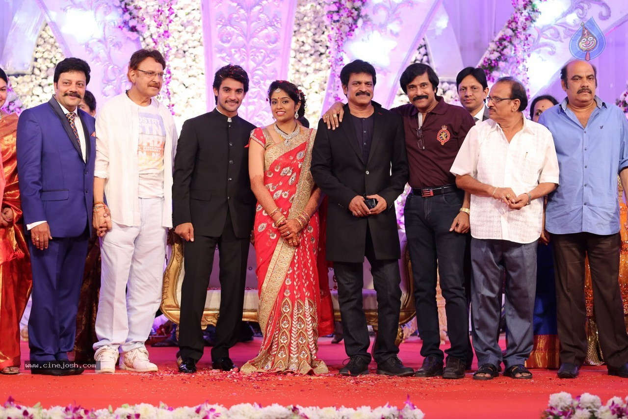 Aadi and Aruna Wedding Reception 03 - 195 / 235 photos