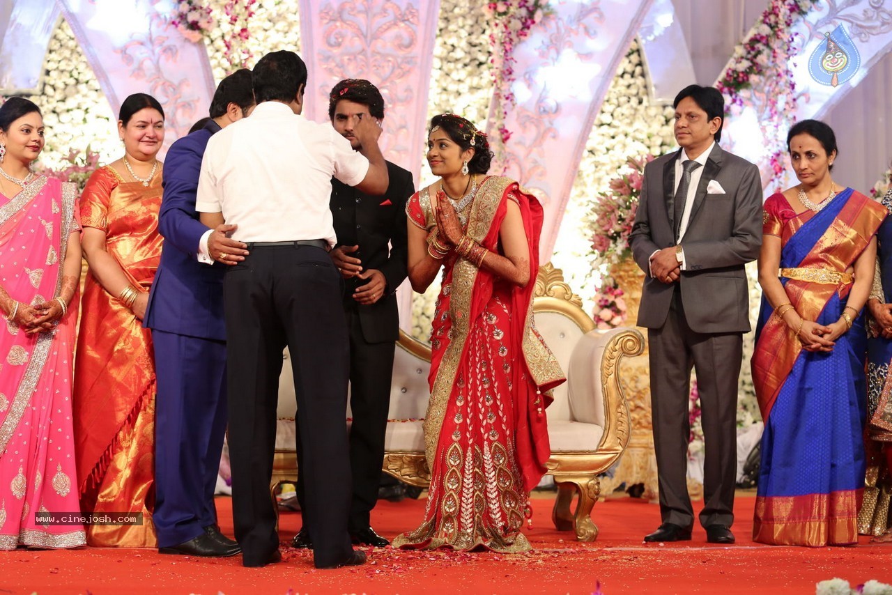 Aadi and Aruna Wedding Reception 03 - 196 / 235 photos