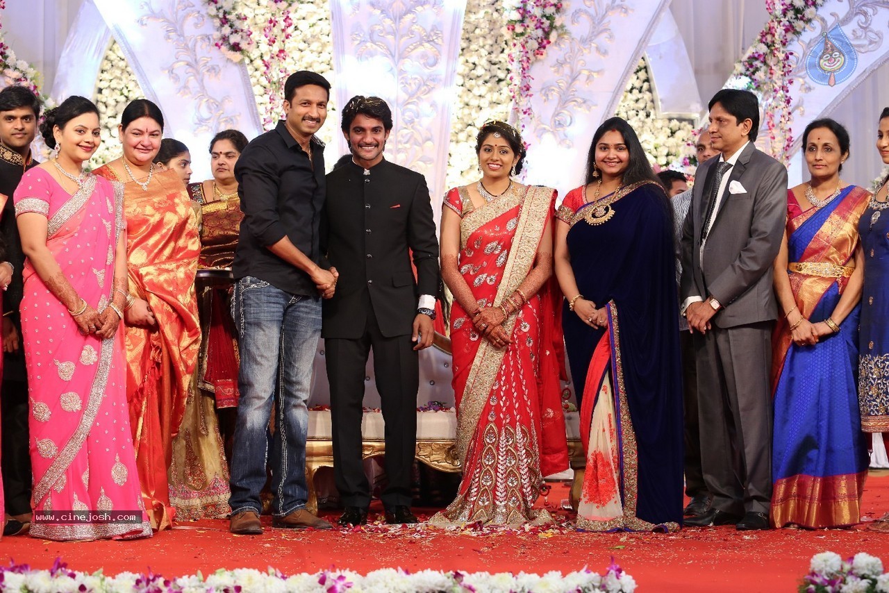 Aadi and Aruna Wedding Reception 03 - 197 / 235 photos