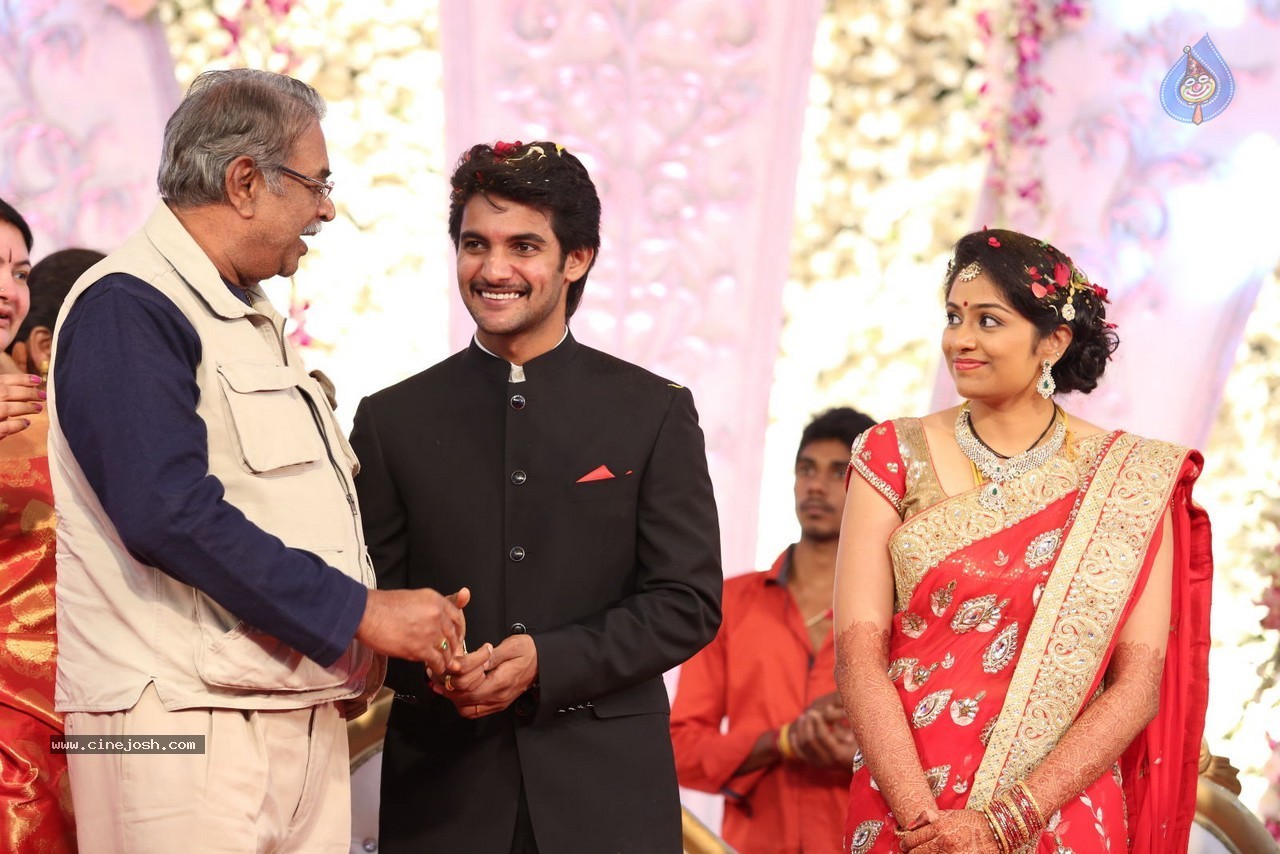 Aadi and Aruna Wedding Reception 03 - 202 / 235 photos