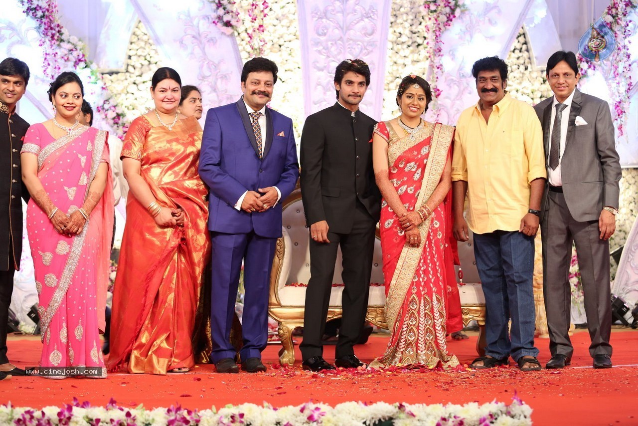 Aadi and Aruna Wedding Reception 03 - 205 / 235 photos