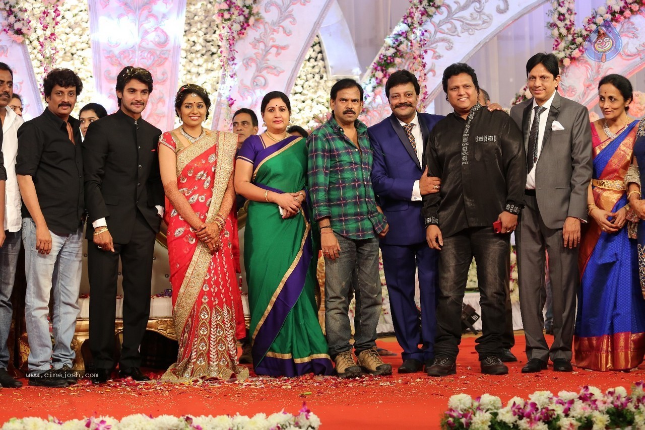 Aadi and Aruna Wedding Reception 03 - 206 / 235 photos